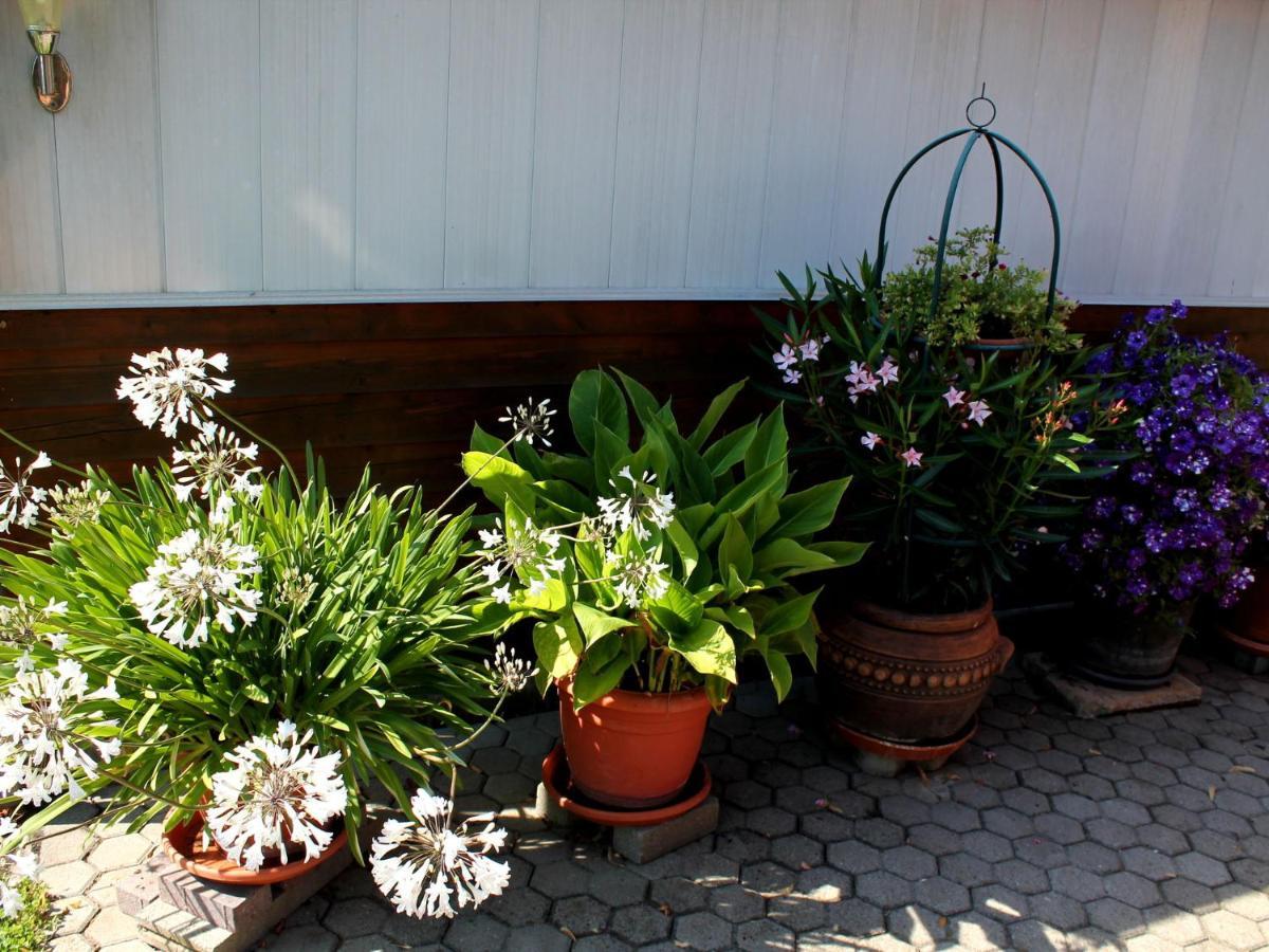 Pretty Bungalow In Neubukow With Garden, Roof Exteriér fotografie